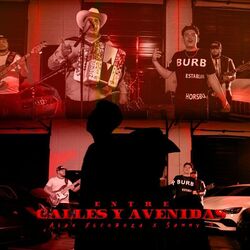 Cover of Entre Calles Y Avenidas