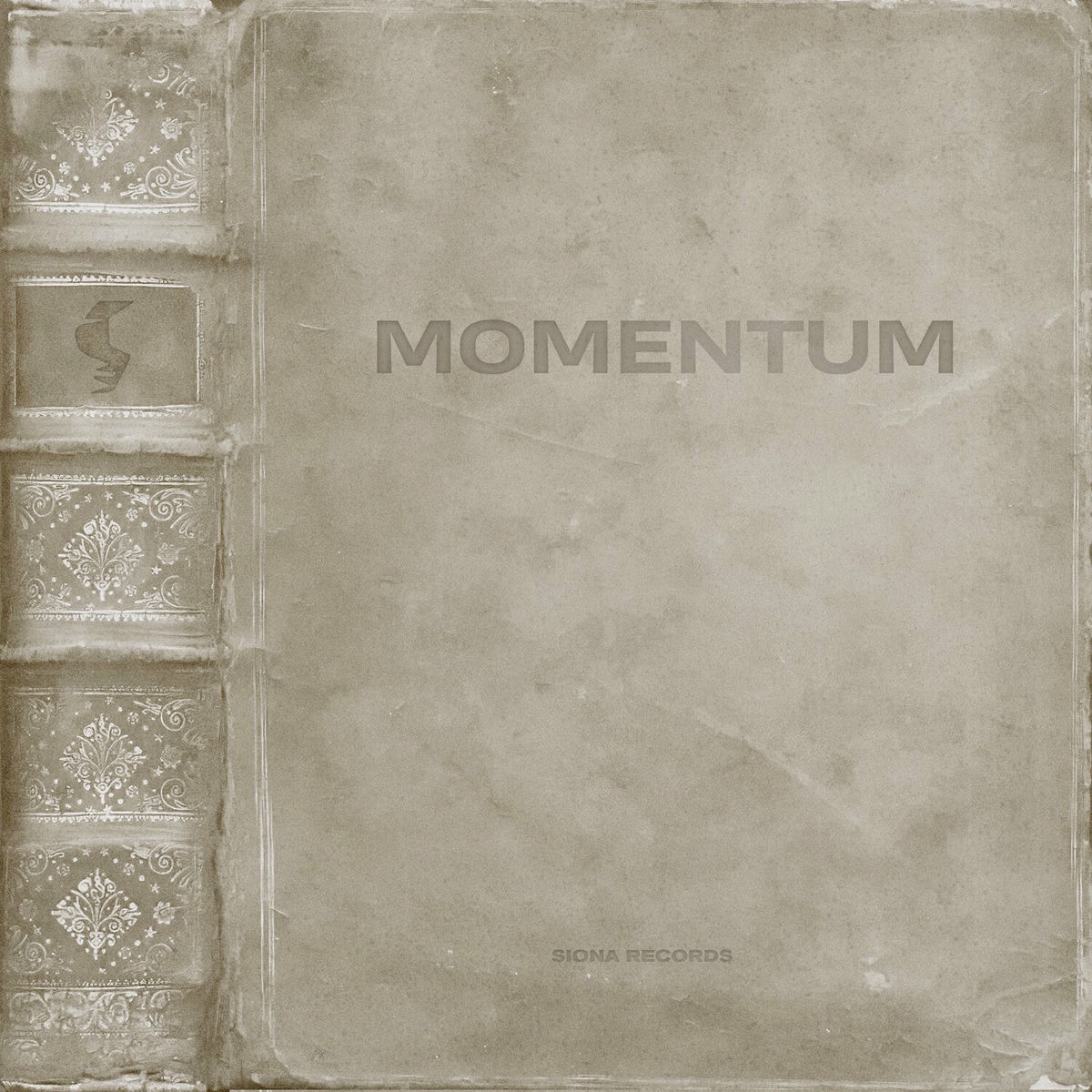 Album cover of Momentum