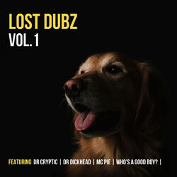 Cover of Lost Dubz, Vol. 1