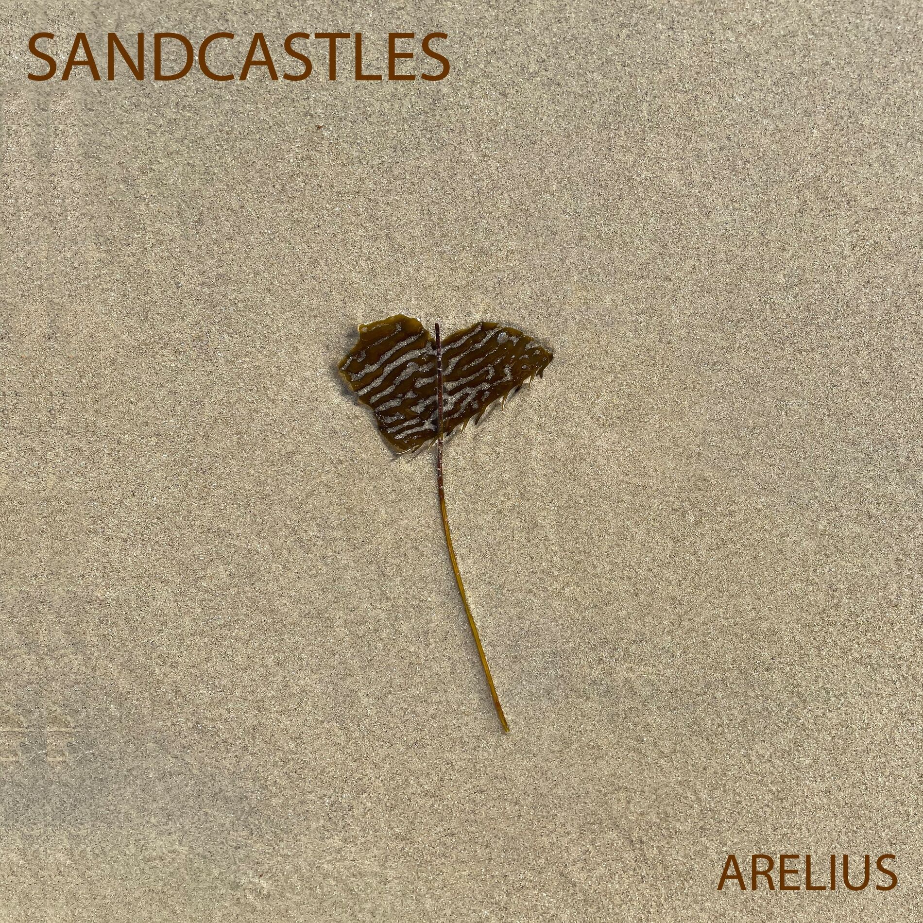 Album cover of Sandcastles