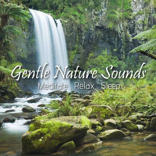 Calming Nature by Music of Wisdom - 102 BPM