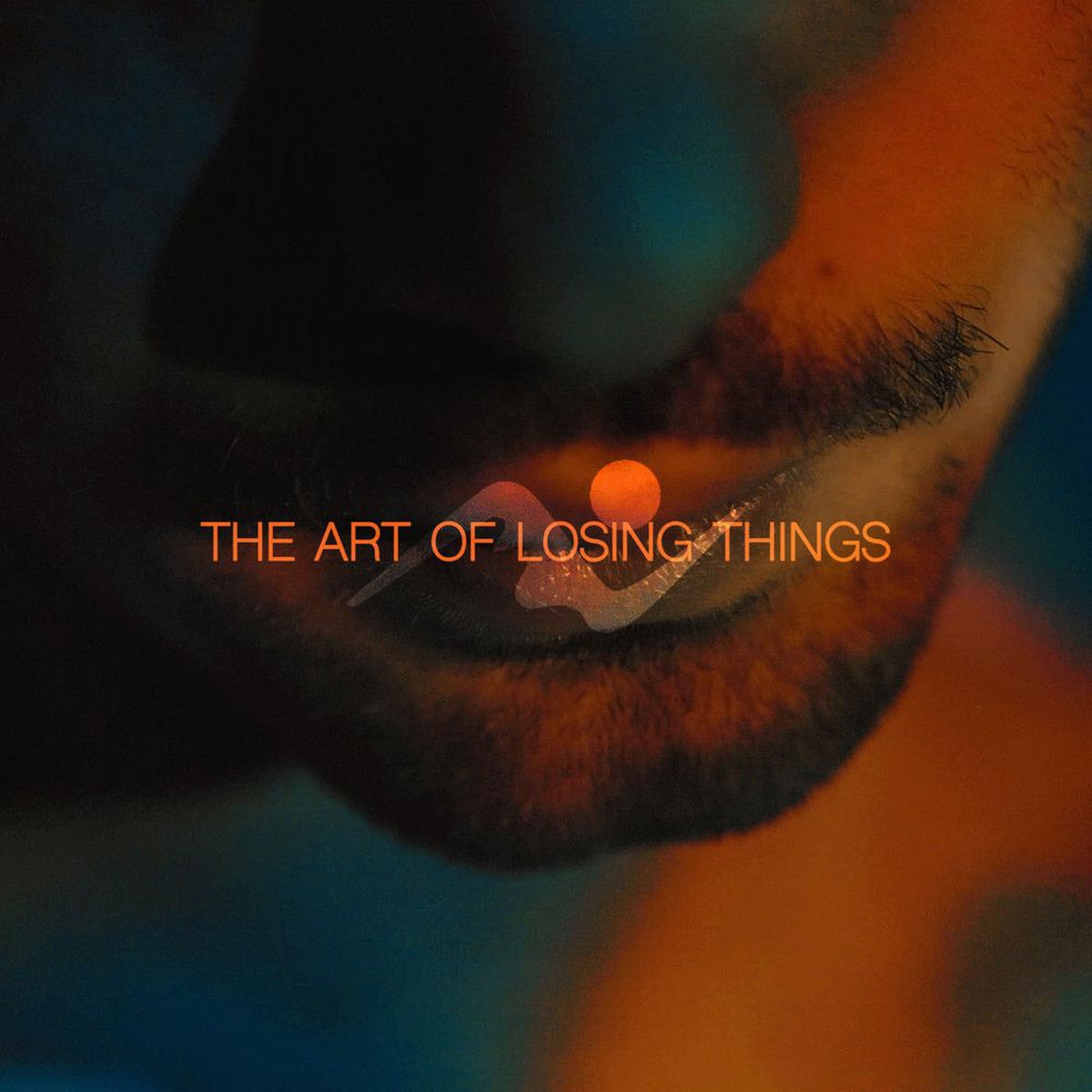 Album cover of THE ART OF LOSING THINGS