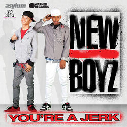Cover of You're a Jerk