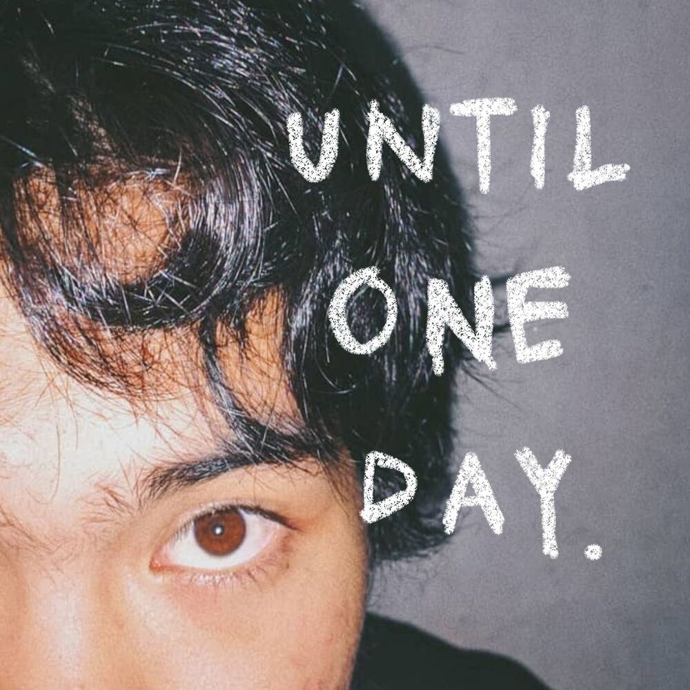 Picture of Until One Day
