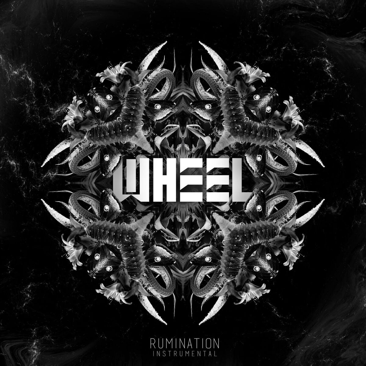 Album cover of Rumination (Instrumentals)