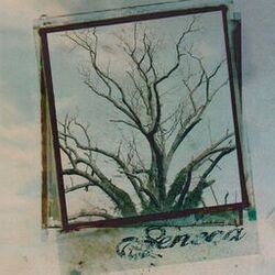 Cover of Seneca