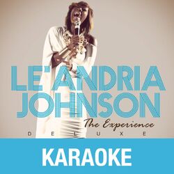 Cover of The Experience (Karaoke Version)