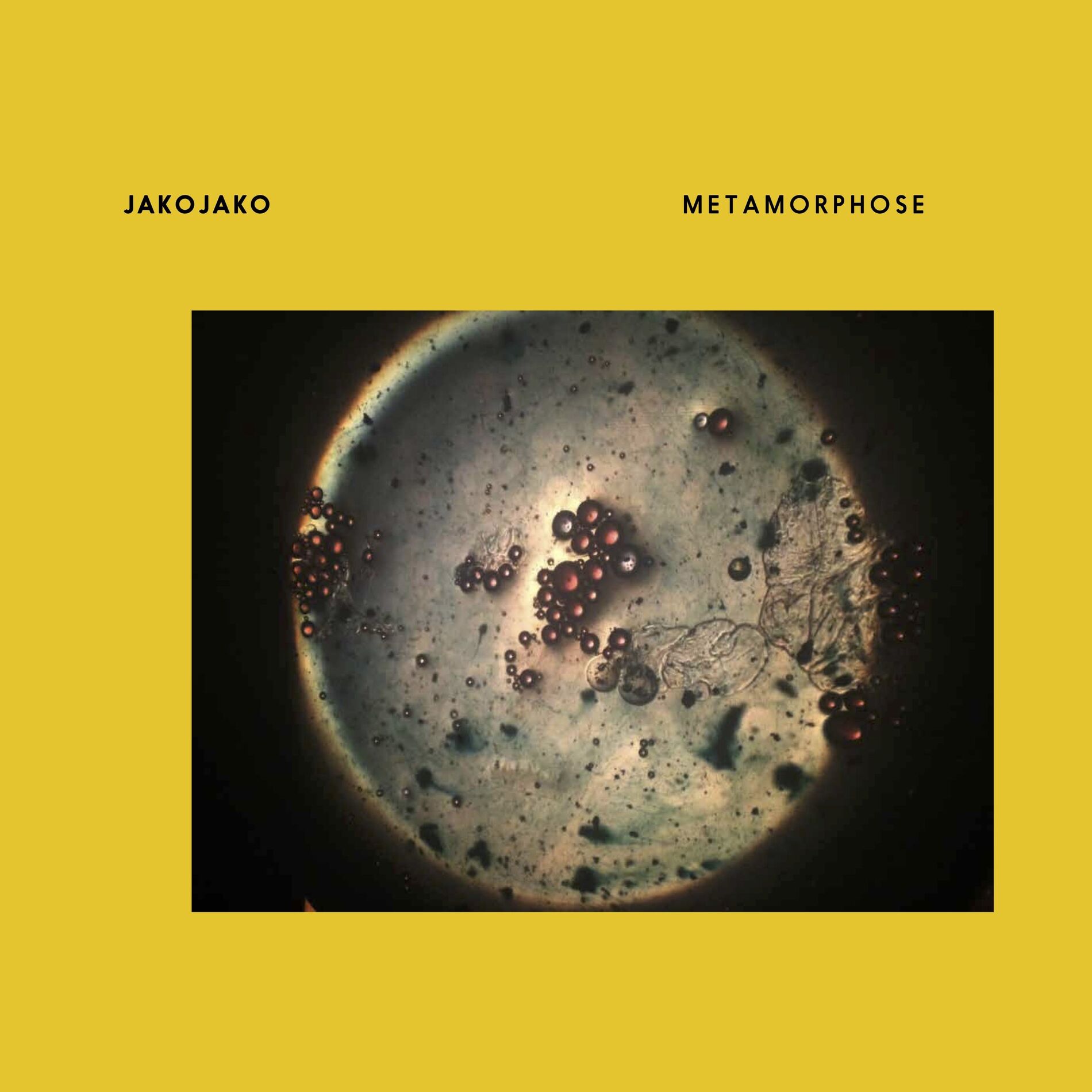 Album cover of Metamorphose