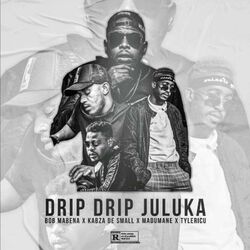 Cover of Drip Drip Juluka
