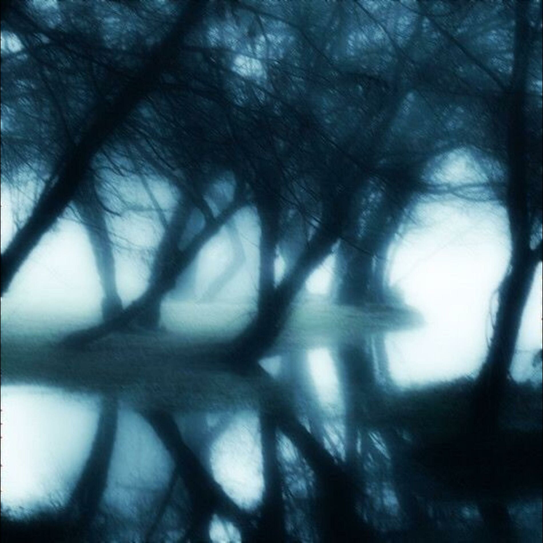 Album cover of Haze