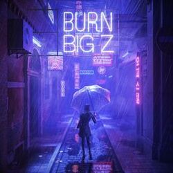 Cover of Burn