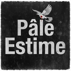 Cover of Pâle Estime
