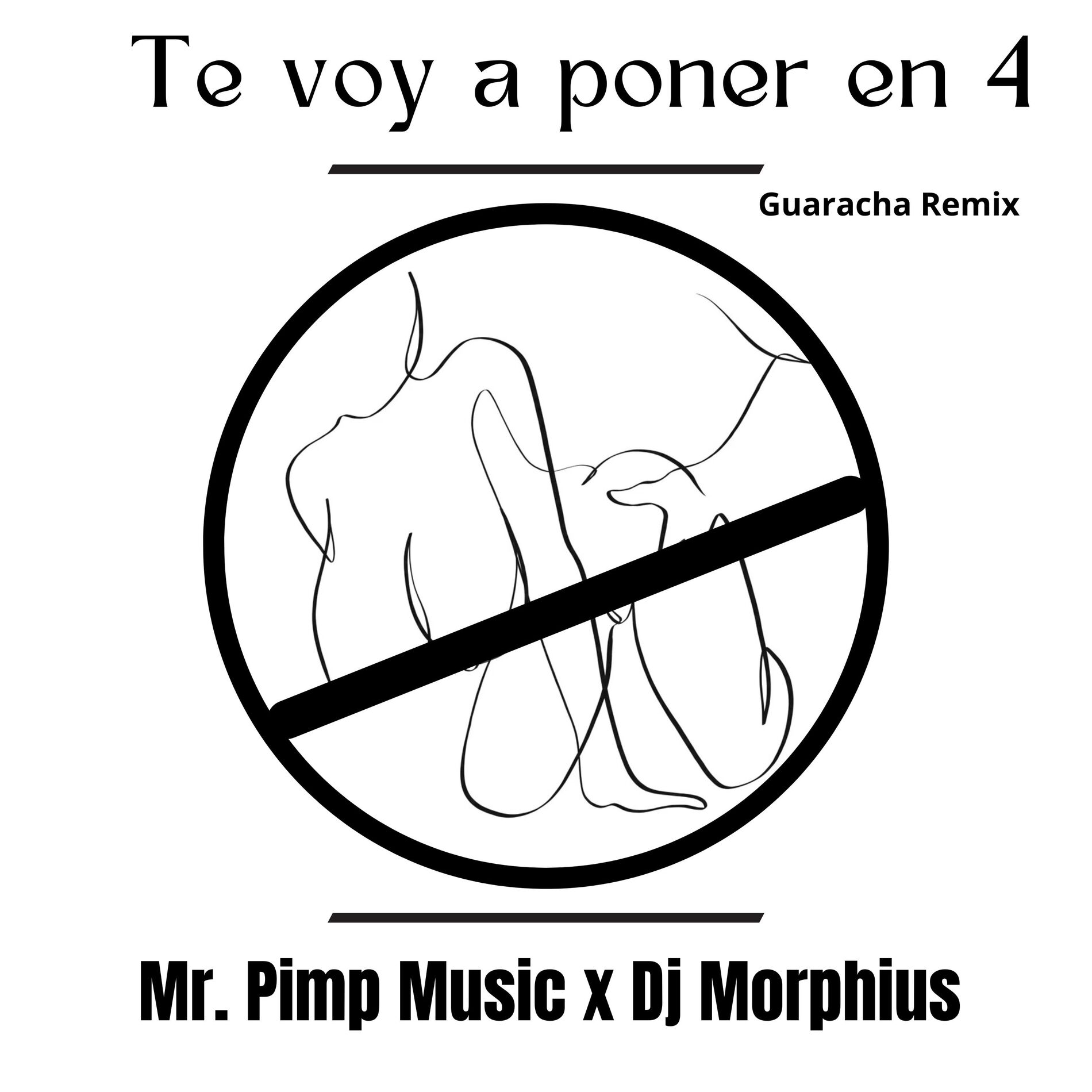 Album cover of Te Voy a Poner en 4 (Huaracha Remix)