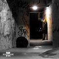 Echoes In The Dark