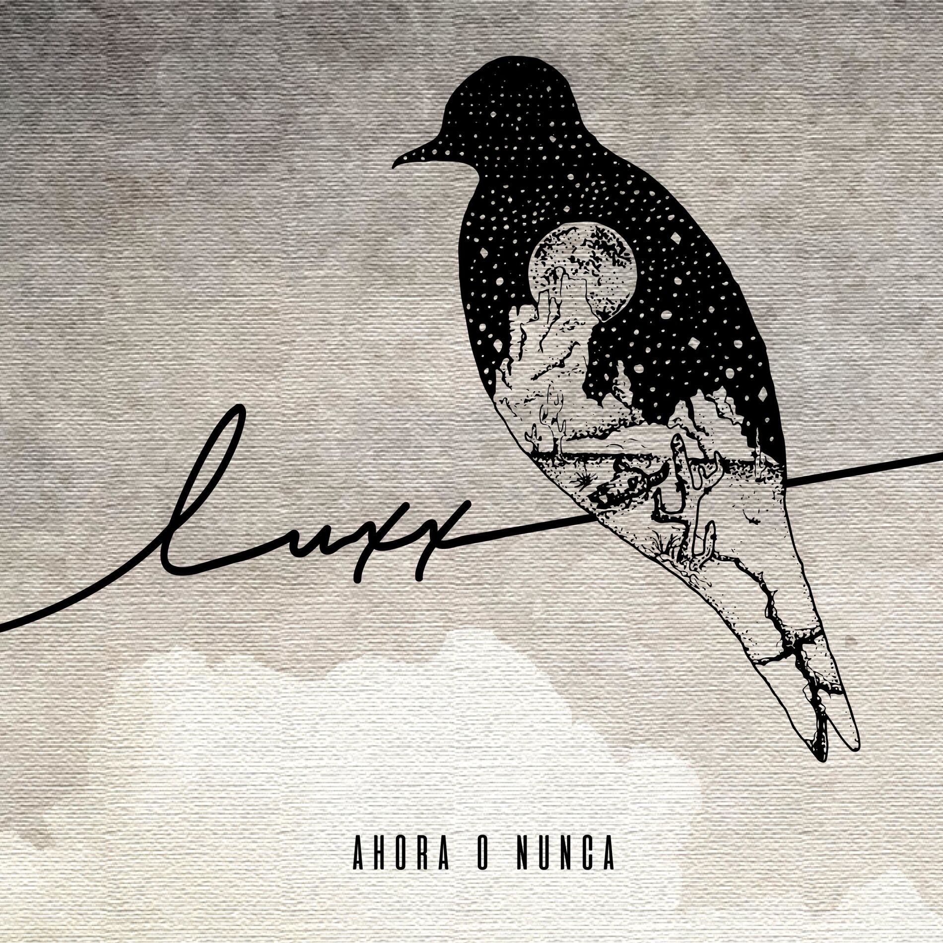 Album cover of Ahora o Nunca