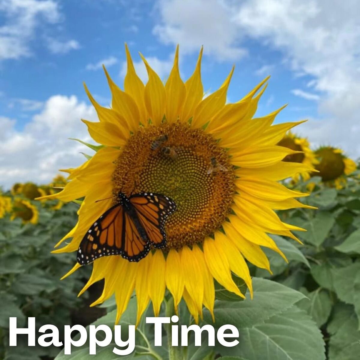Album cover of Happy Time