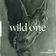 Wild One by Troy Cartwright album cover