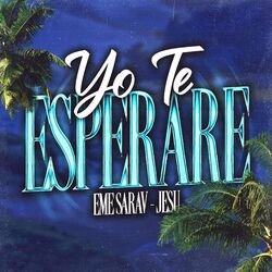 Cover of Yo Te Esperare