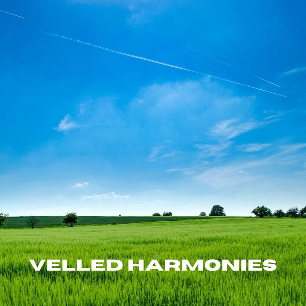 Picture of Veiled Harmonies