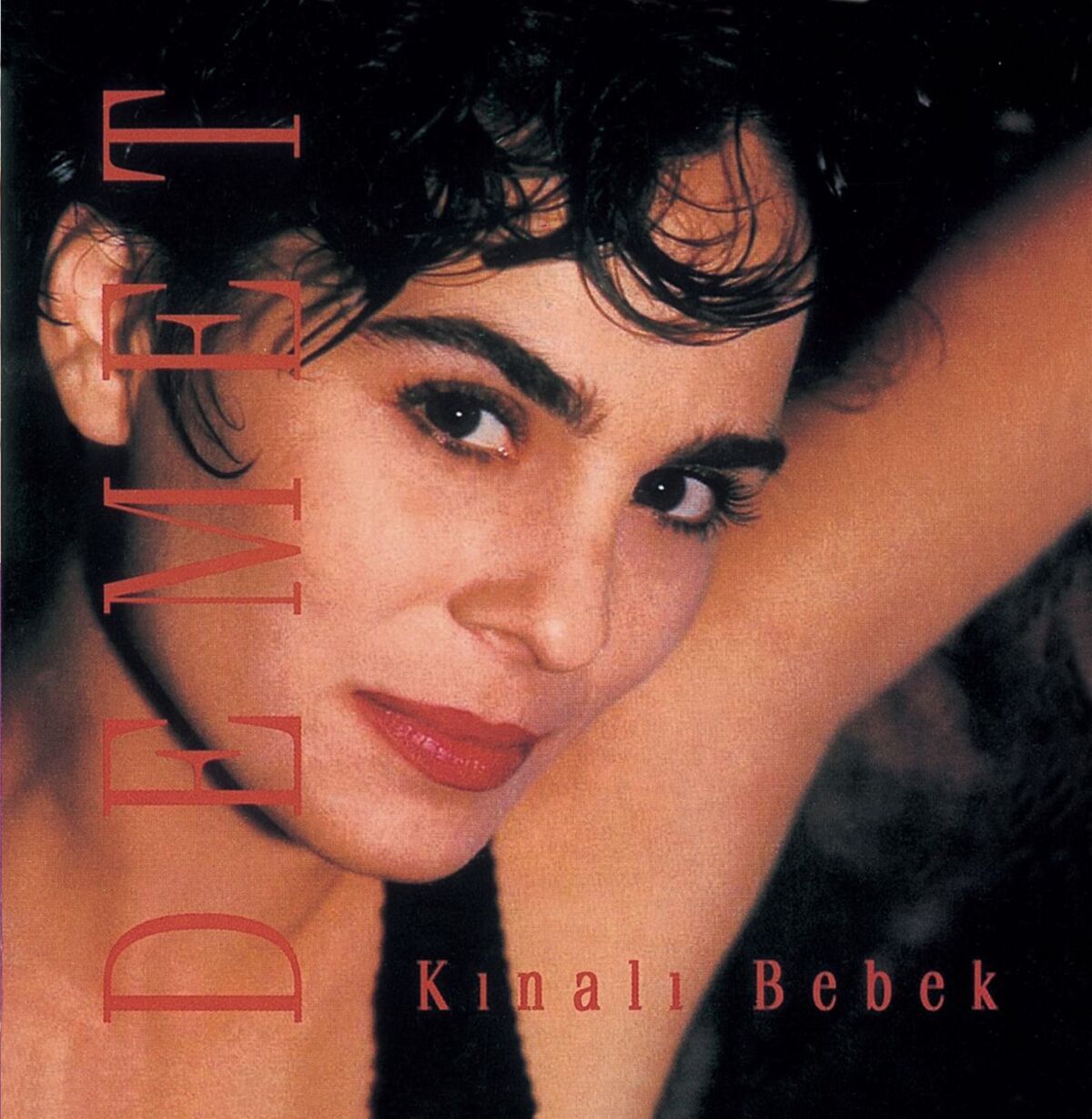 Album cover of Arnavut Kaldirimi