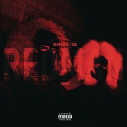 Cover of REDMAN REMiX