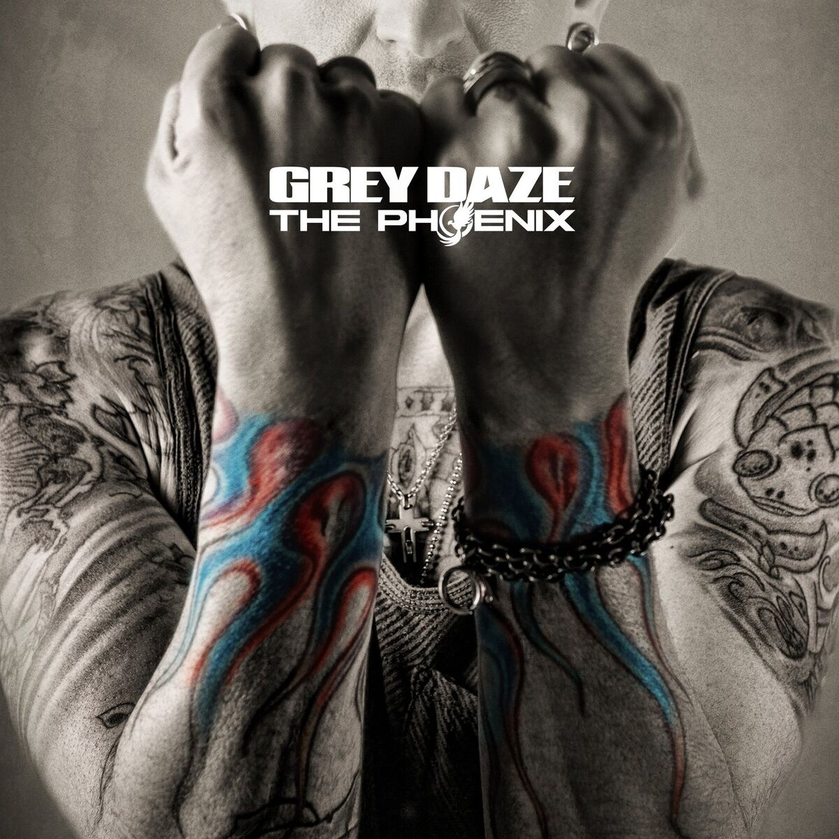Album cover of The Phoenix