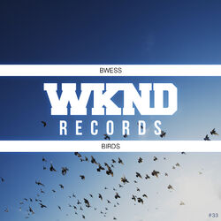 Cover of Birds