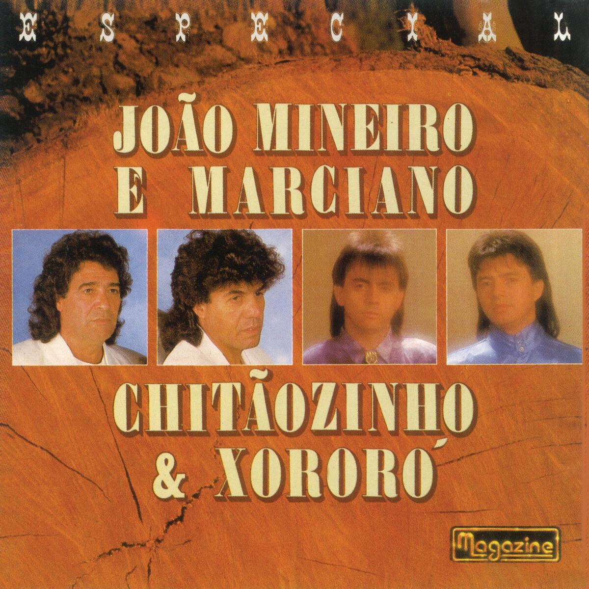 Album cover of Se Eu Não Puder Te Esquecer