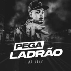 Cover of Pega Ladrão