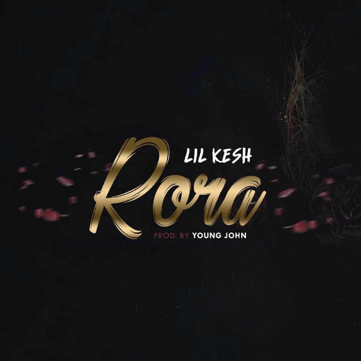 Album cover of Rora