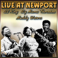 Cover of Live At Newport