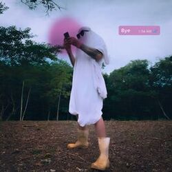 Cover of Bye!