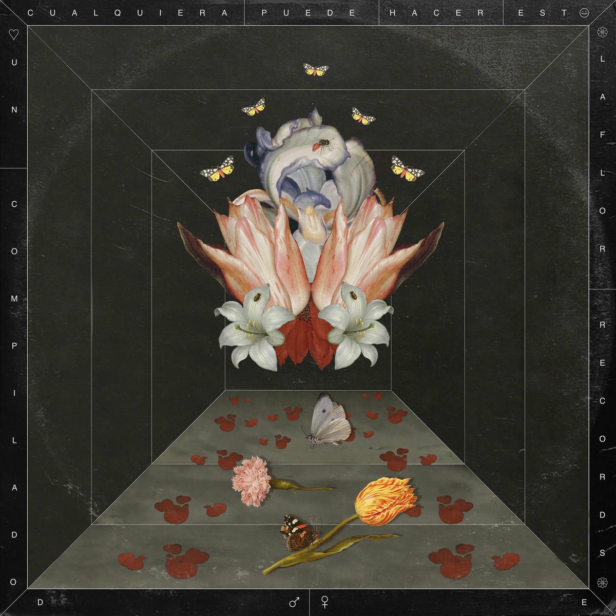 Album cover of Cualquiera Puede Hacer Esto