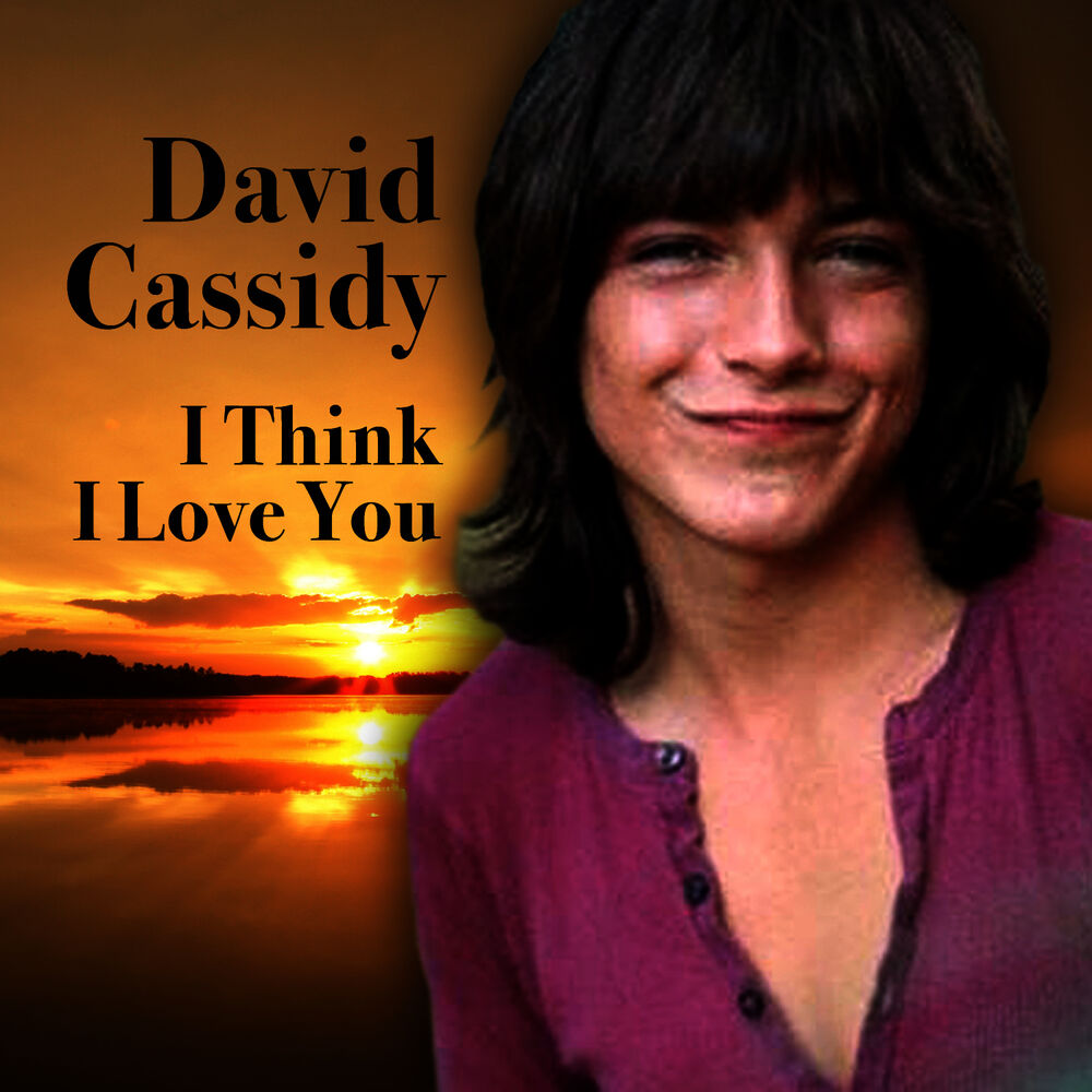 Picture of I Think I Love You