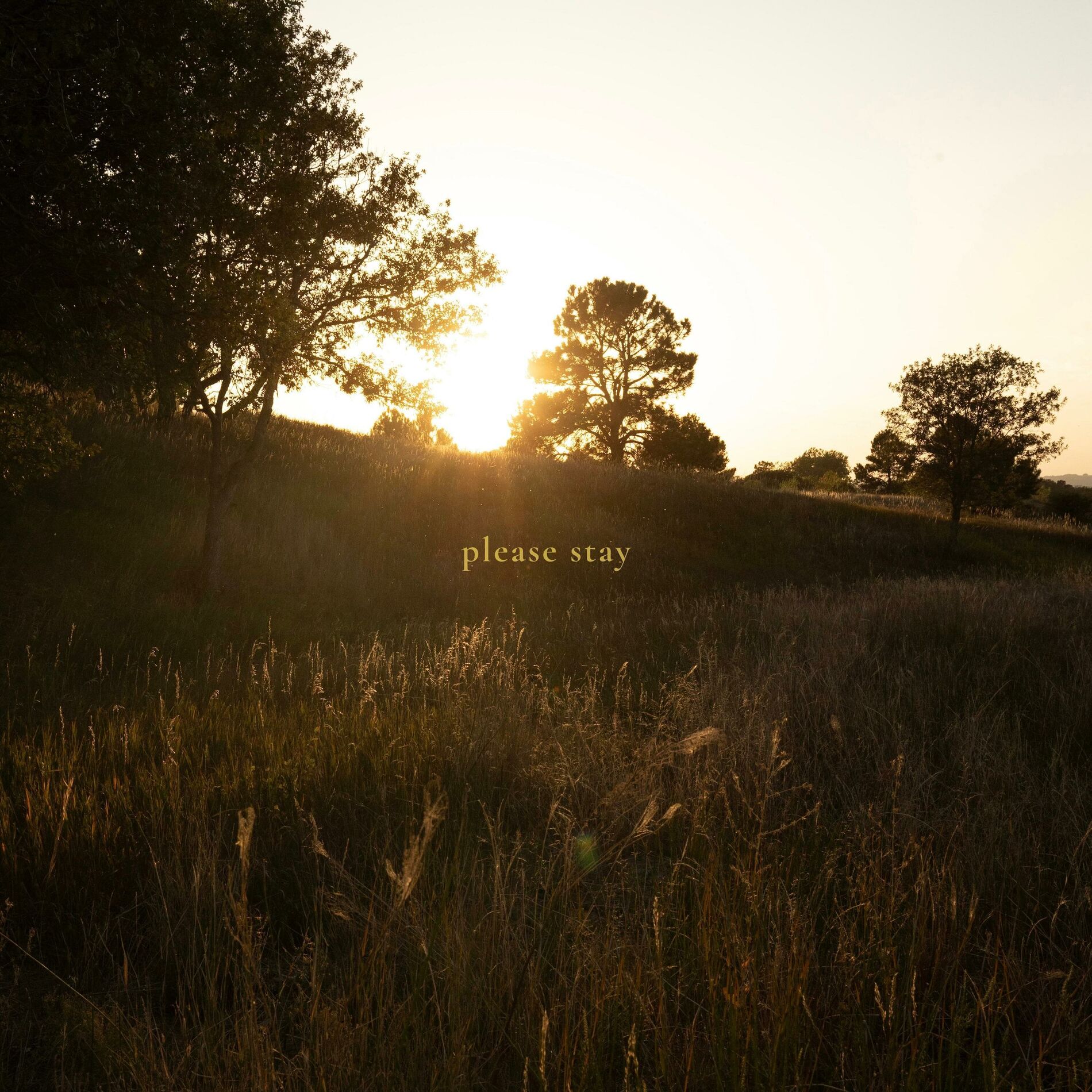 Album cover of please stay