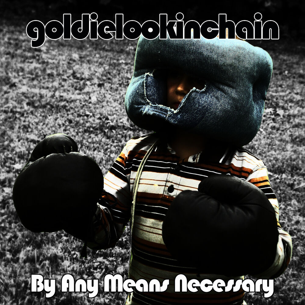 Picture of By Any Means Necessary