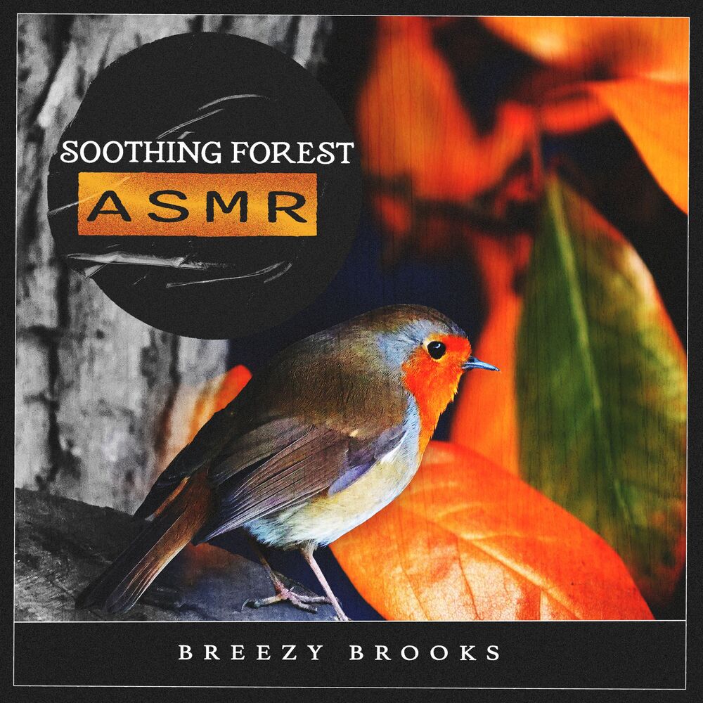 Picture of Soothing Forest ASMR