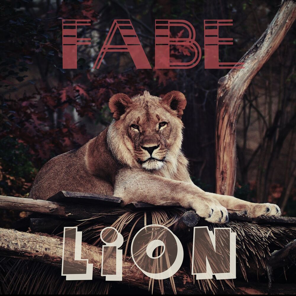 Picture of LiON