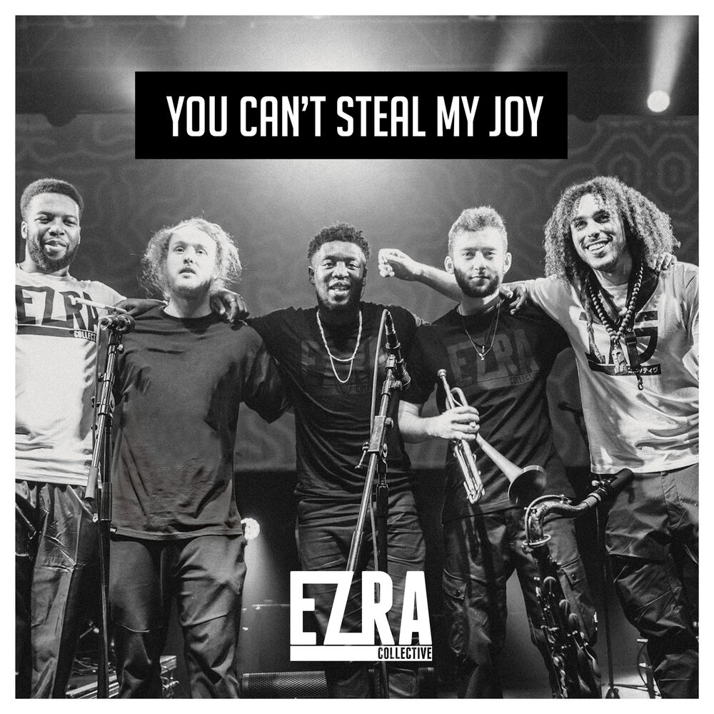 Picture of You Can't Steal My Joy