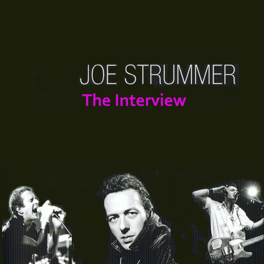 Picture of The Interviews