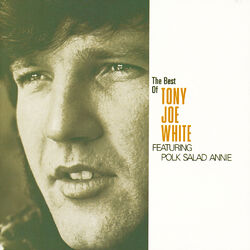 Cover of The Best Of Tony Joe White featuring "Polk Salad Annie"