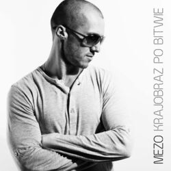 Cover of Krajobraz po bitwie