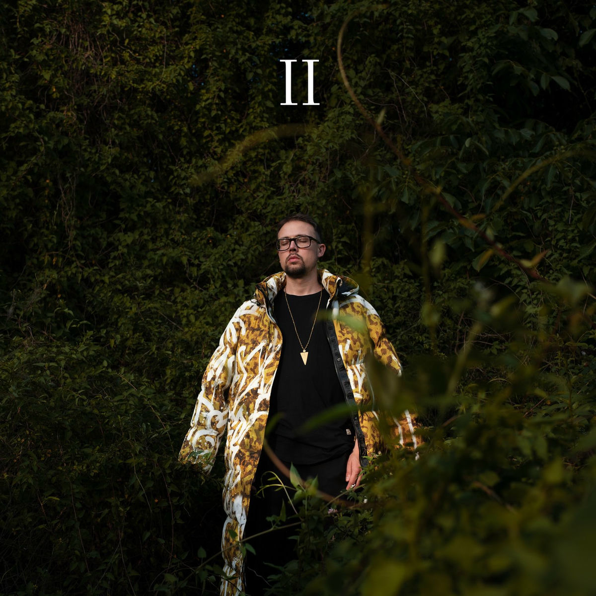 Album cover of II