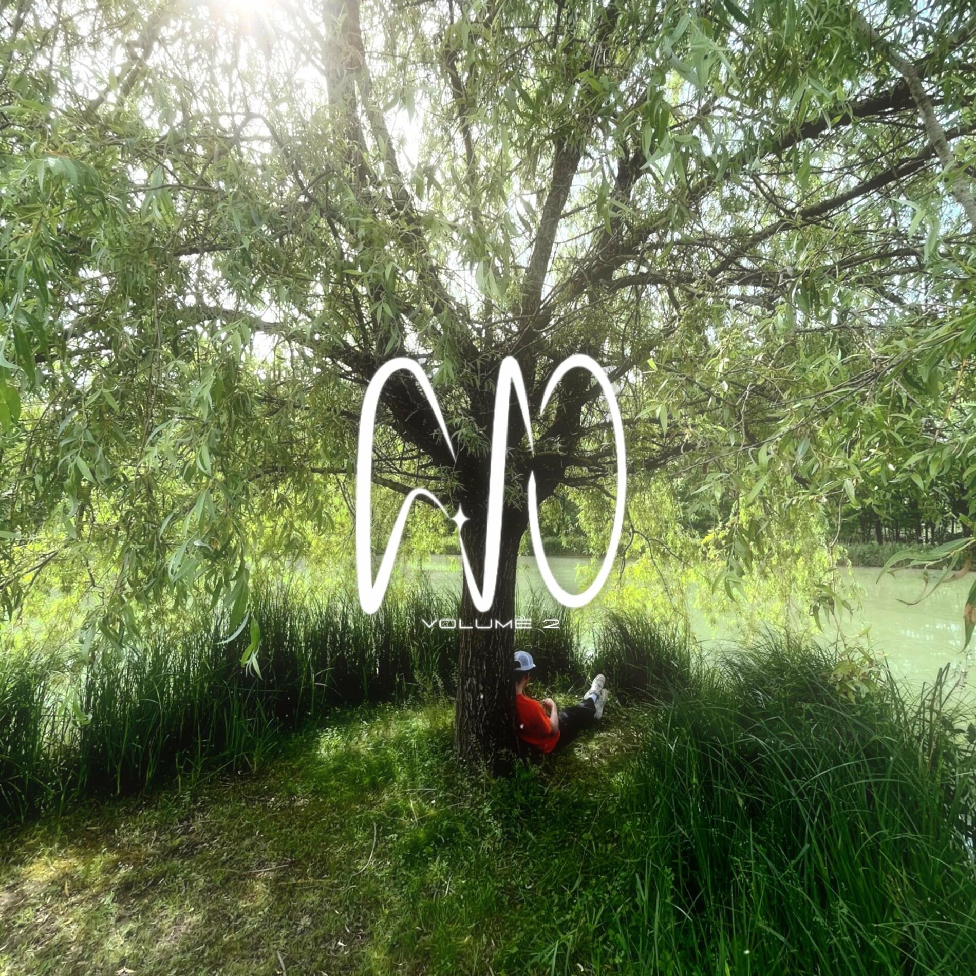 Album cover of GVO, Vol. 2