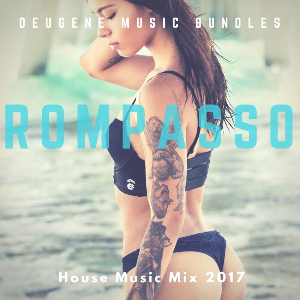 Picture of House Music Mix 2017