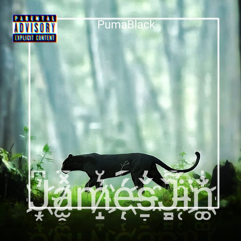 Picture of Pumablack