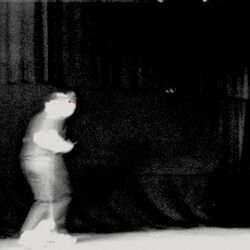 Cover of The Endless Joke