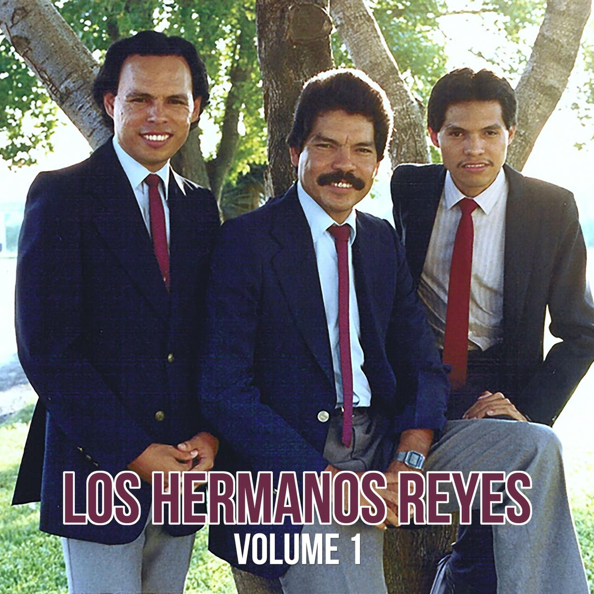 Album cover of Vol. 1