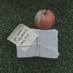 Cover of You Make My Dreams Come True