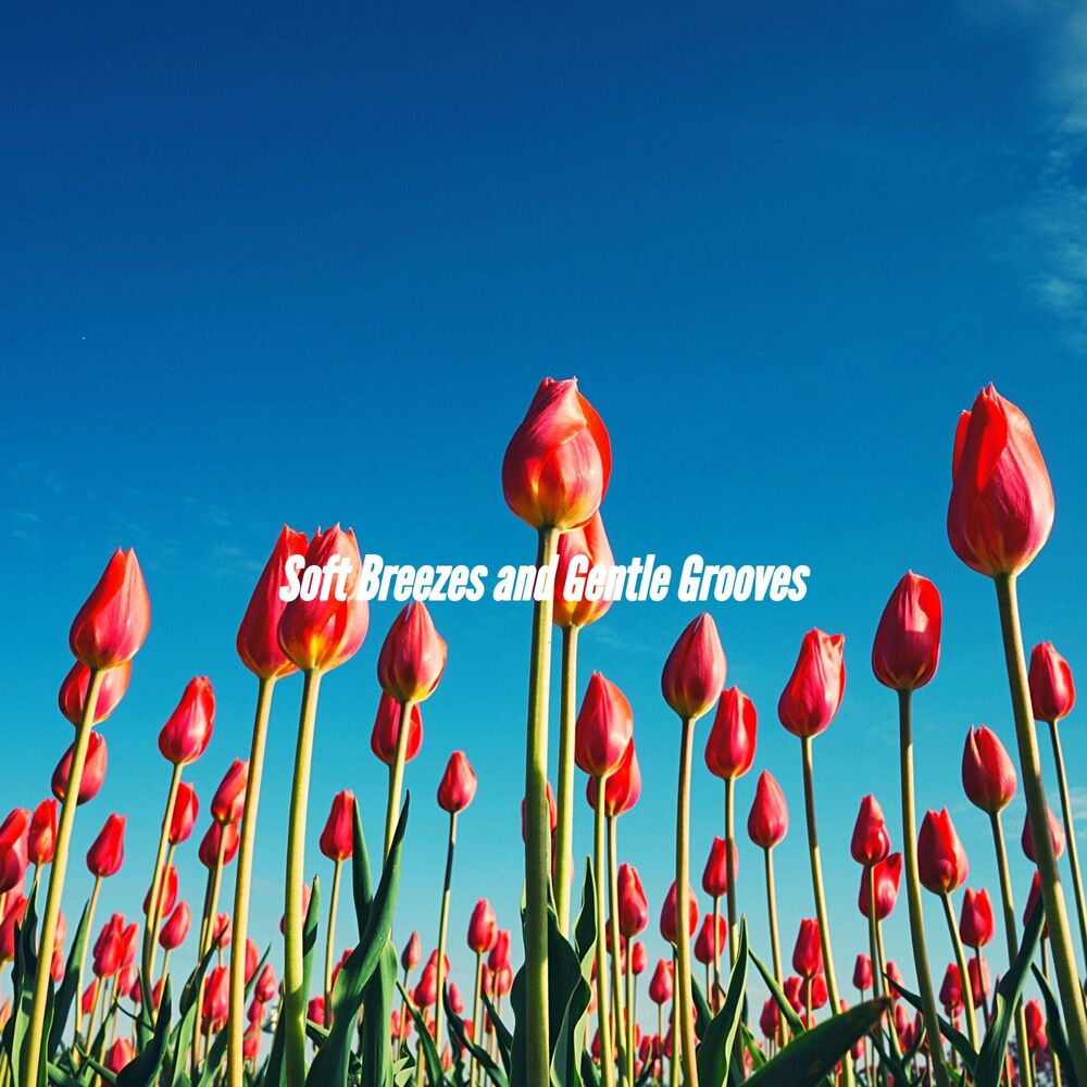 Picture of Soft Breezes and Gentle Grooves